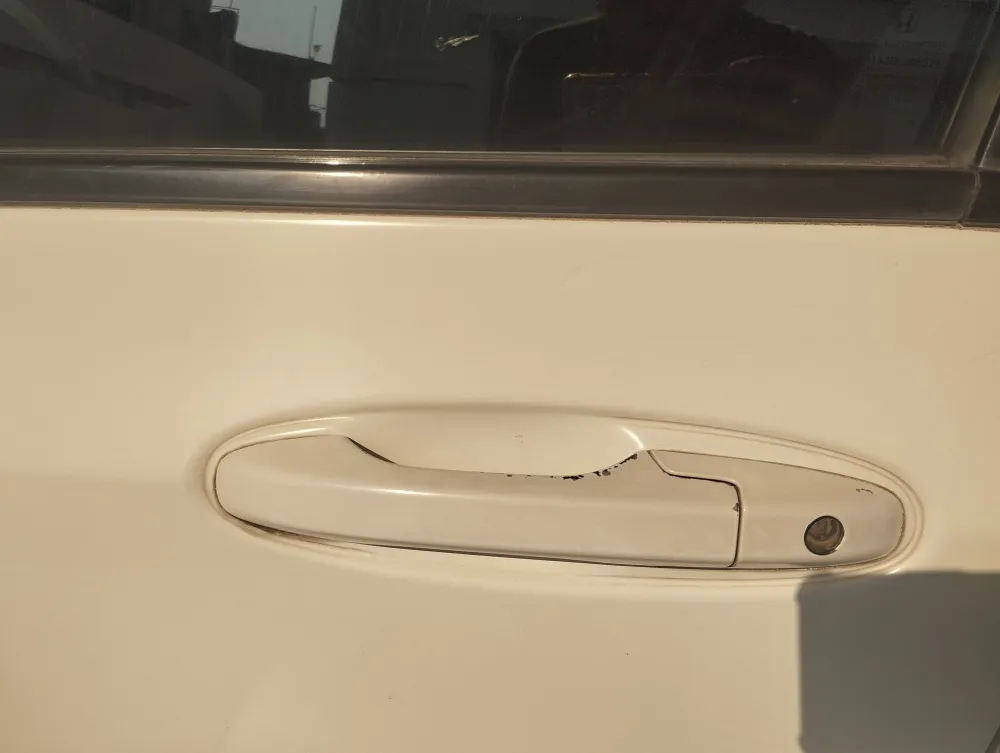 Front left door