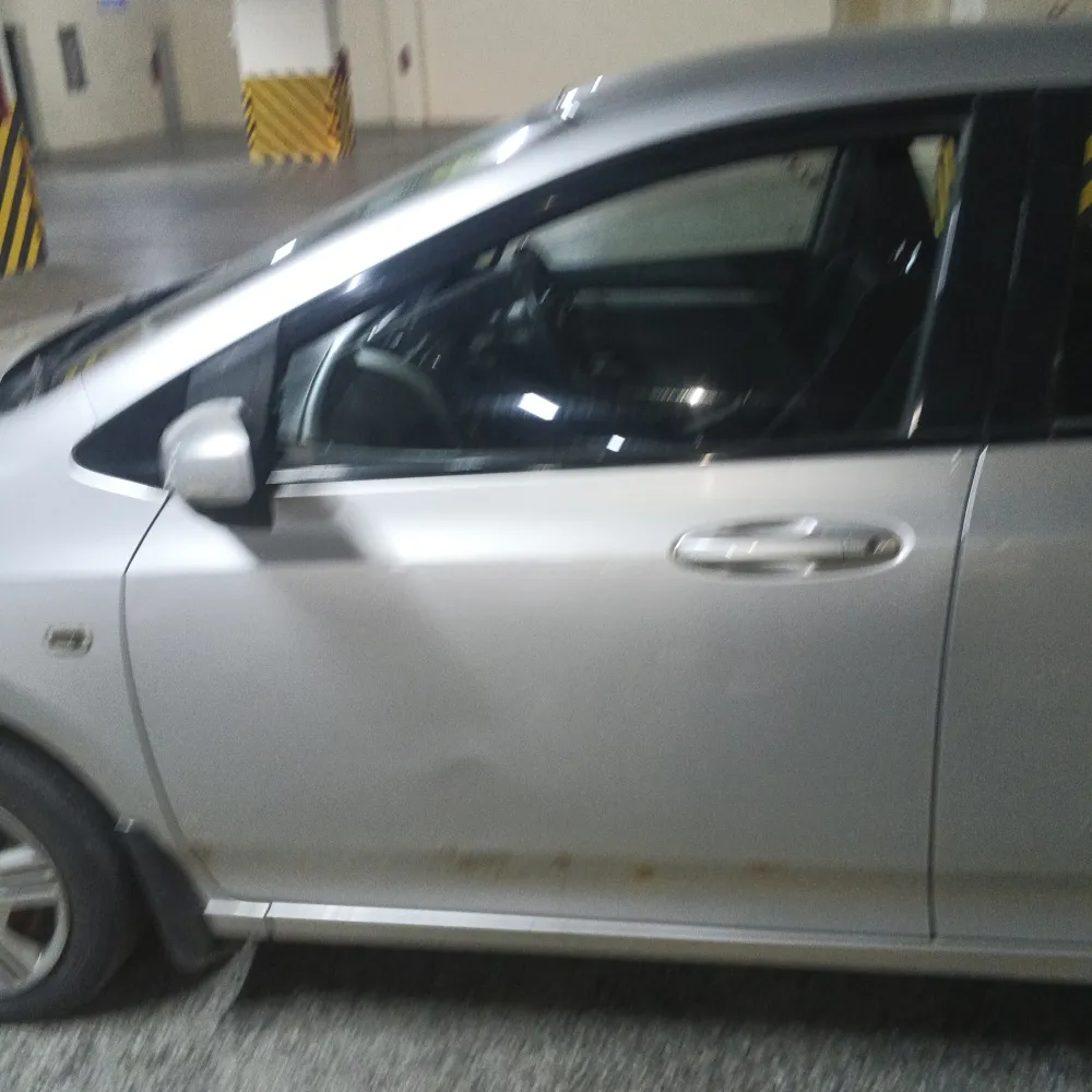 Front_left_door image