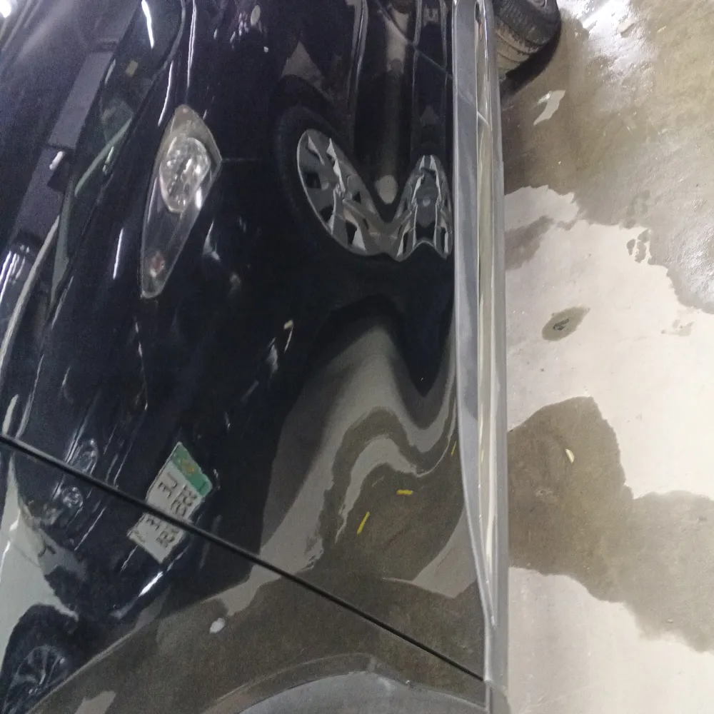 Front_left_door image
