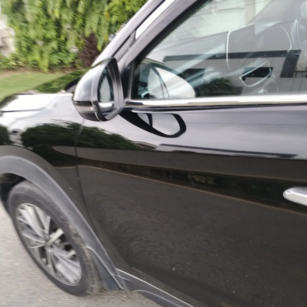 Front_left_door image