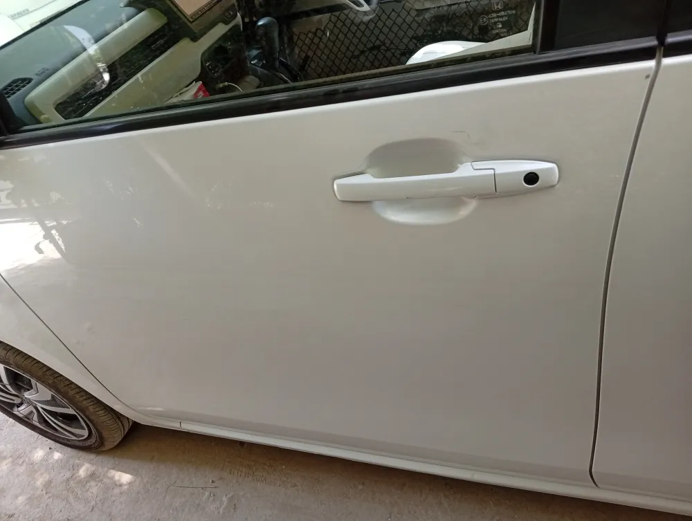 Front_left_door image