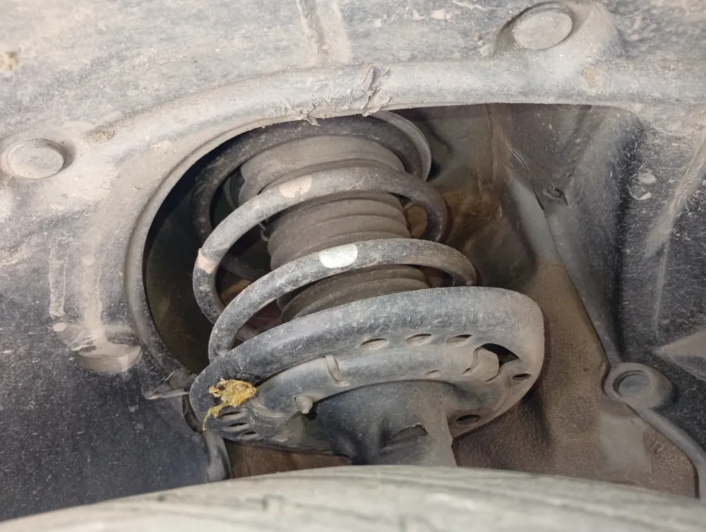 inspection-image