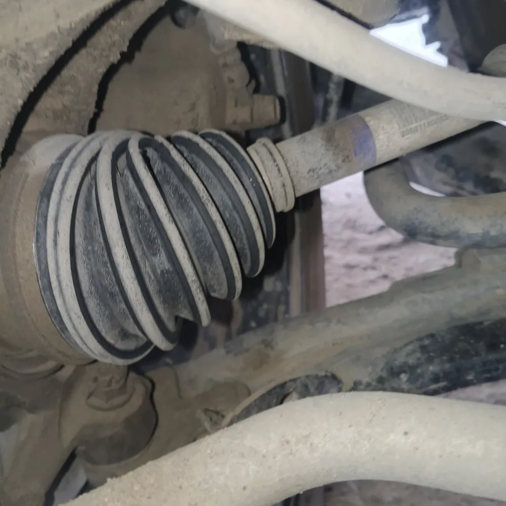 inspection-image