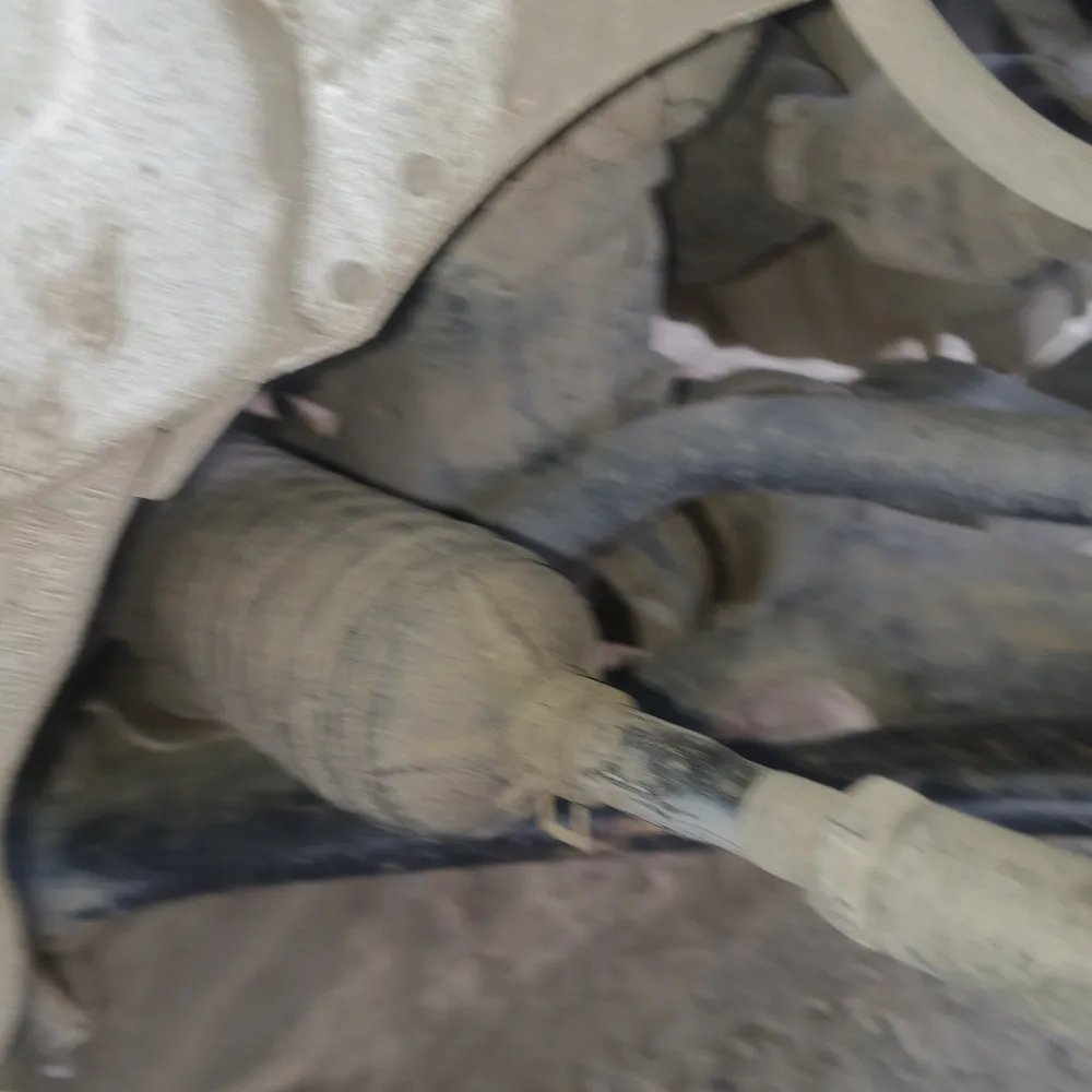 inspection-image