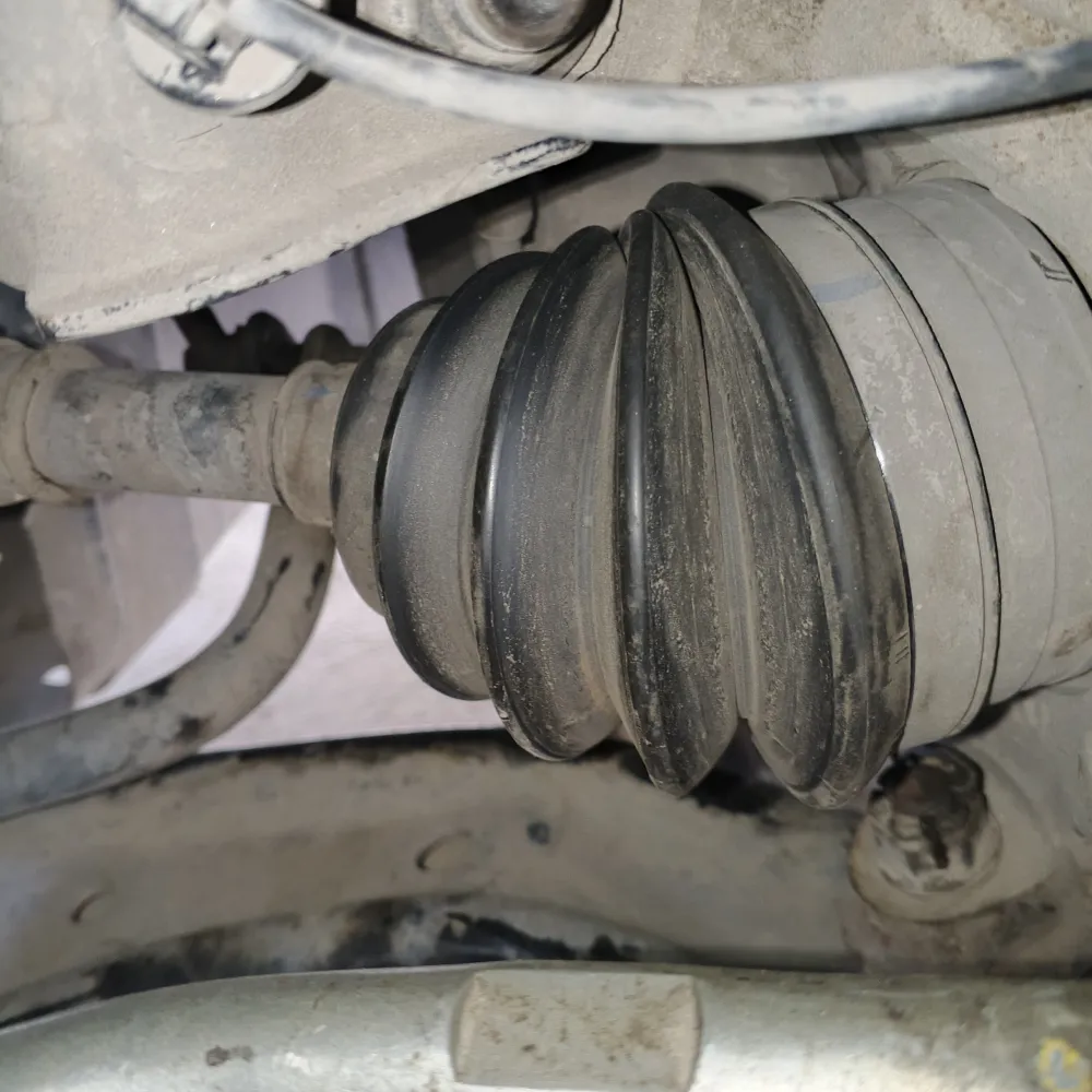 inspection-image