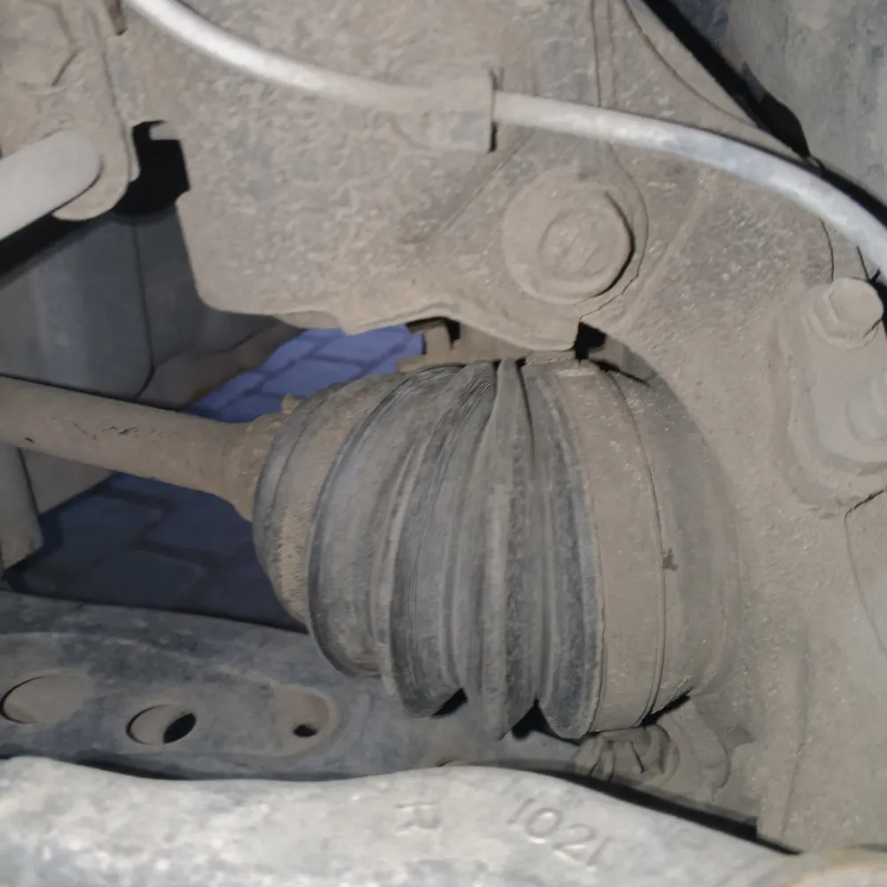 inspection-image