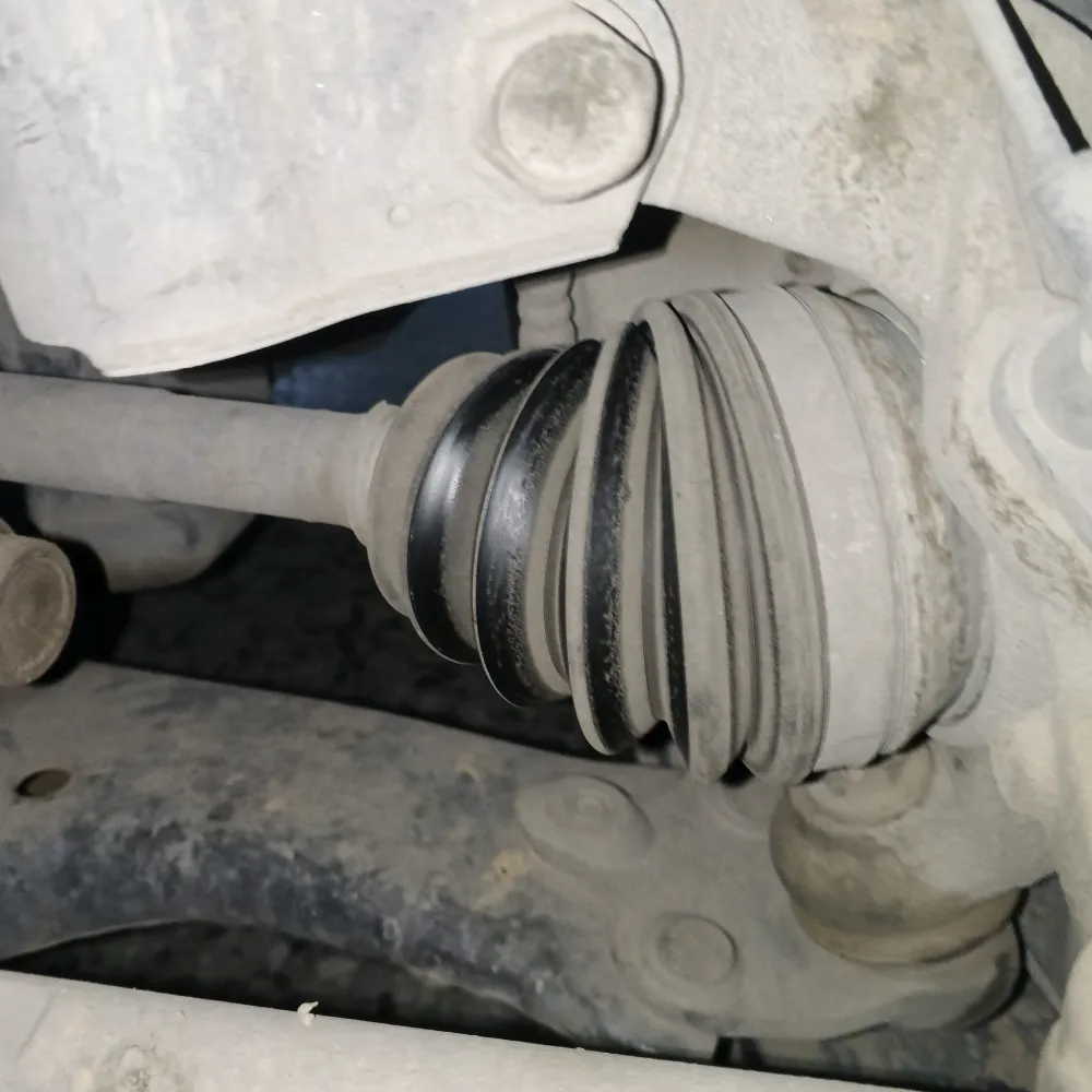 inspection-image