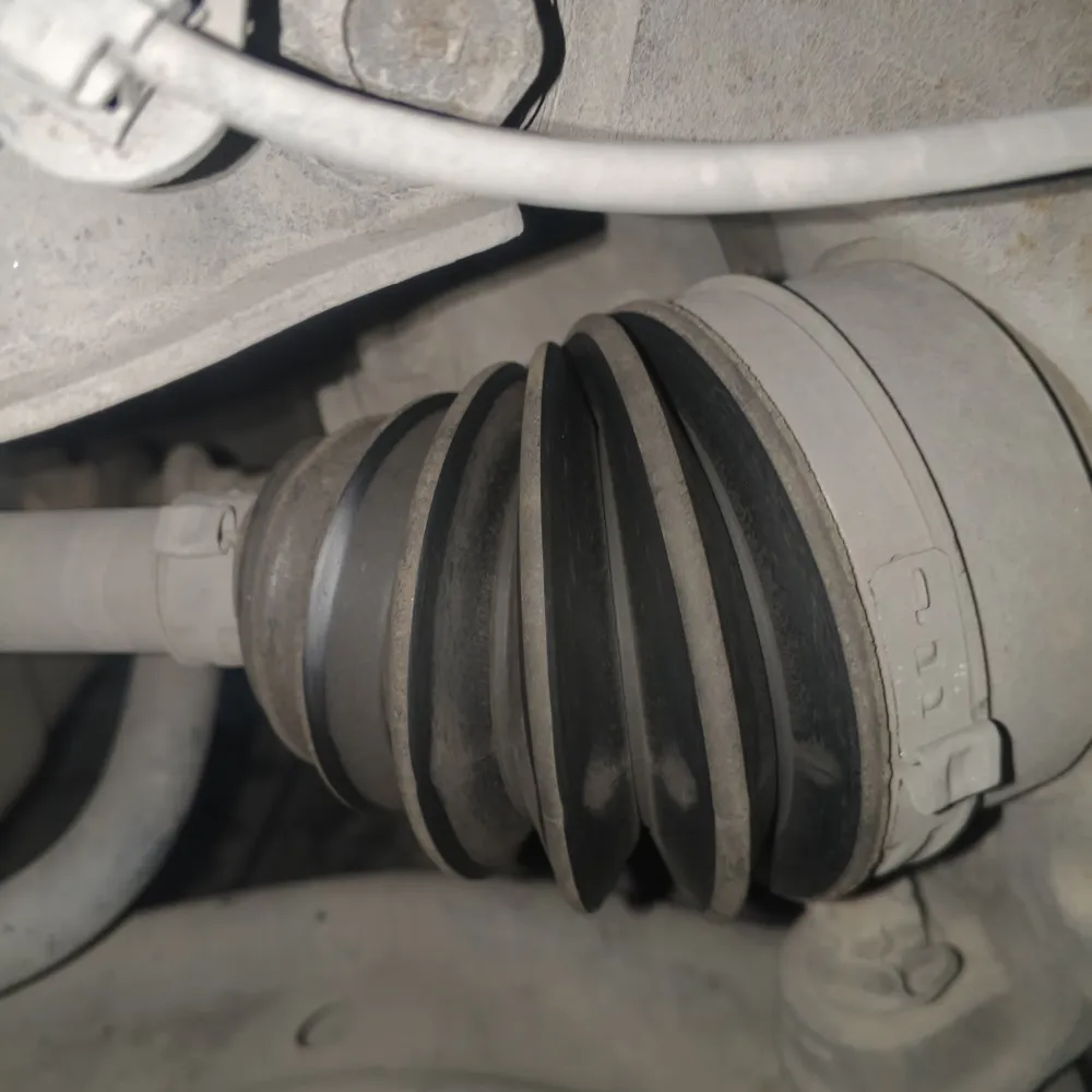 inspection-image