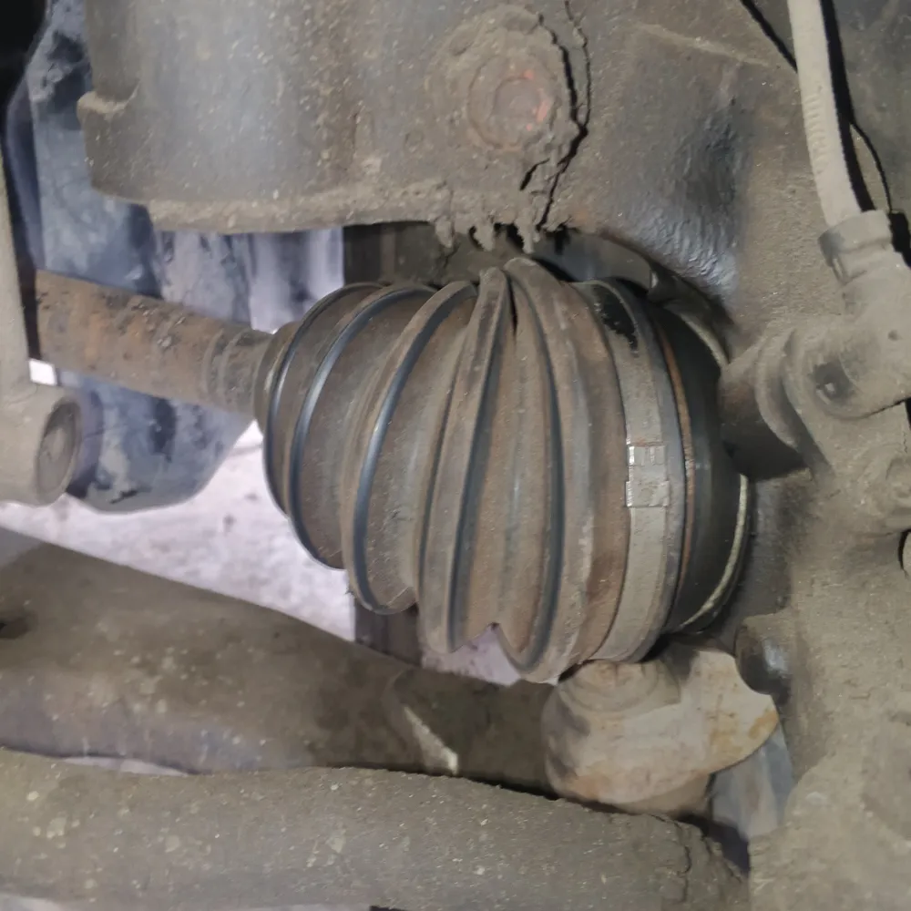 inspection-image