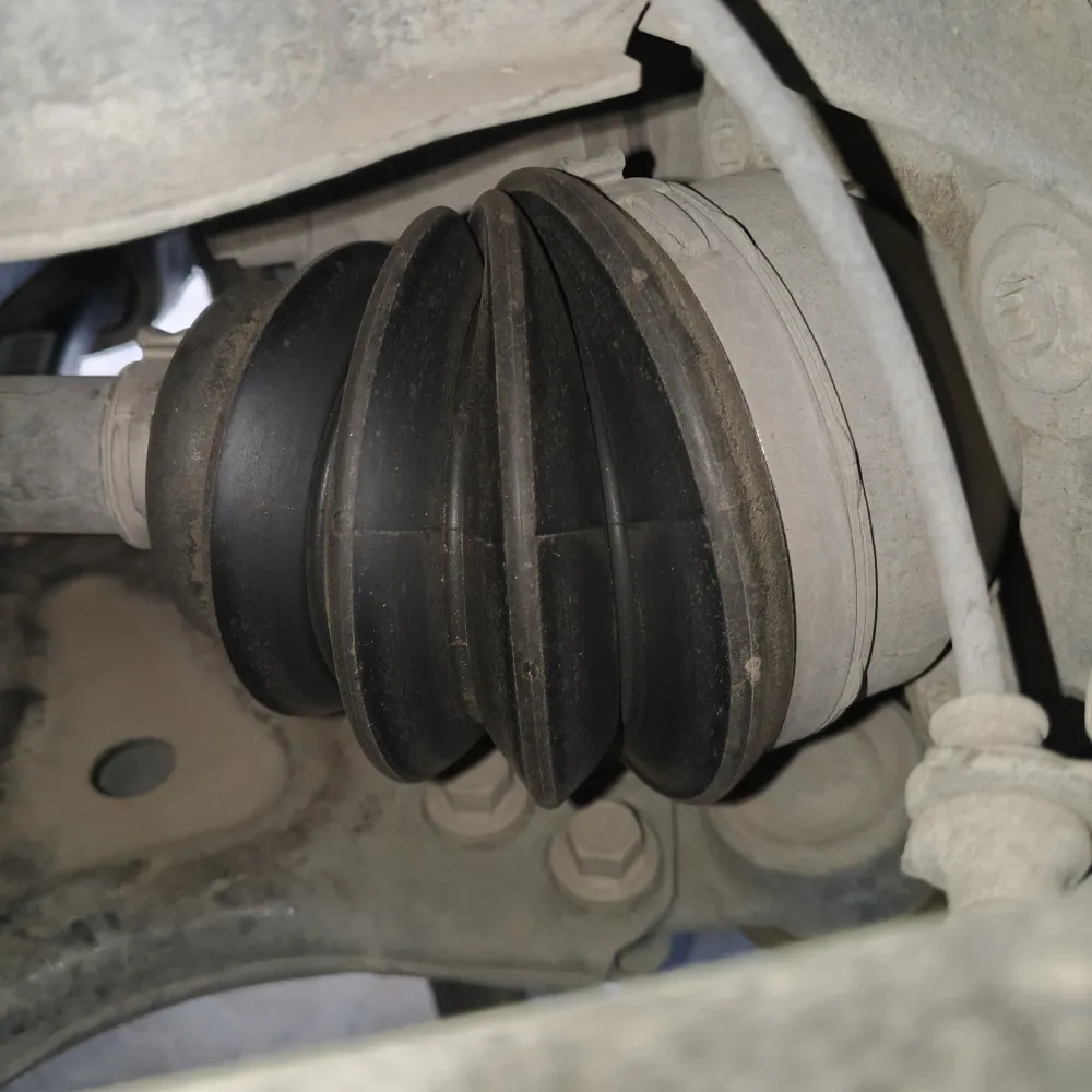inspection-image