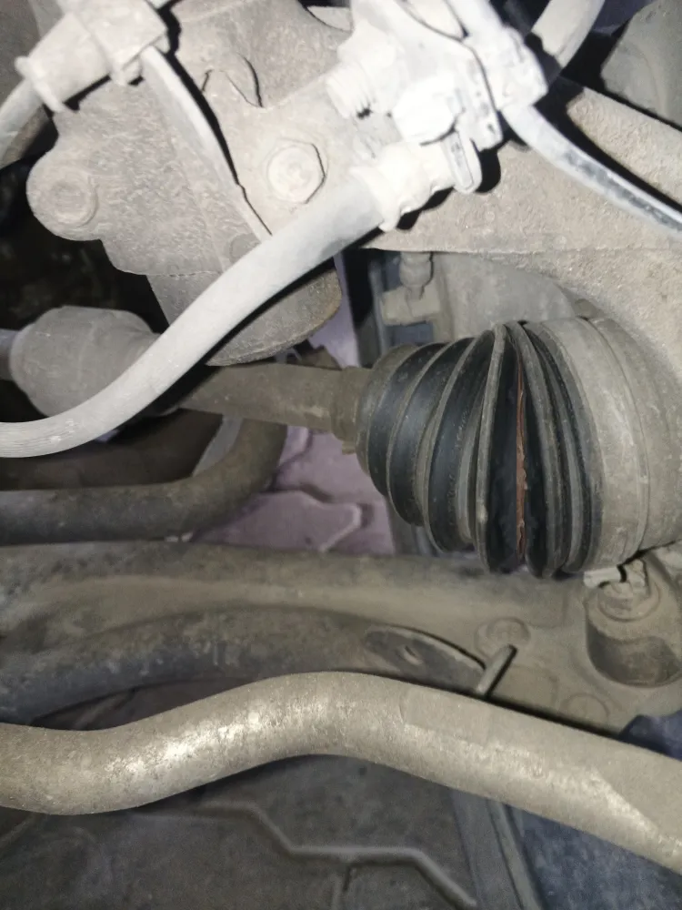 inspection-image