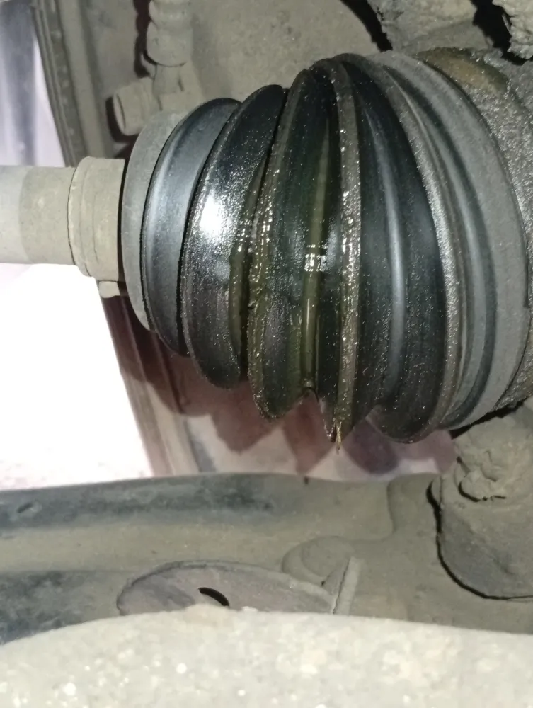 inspection-image