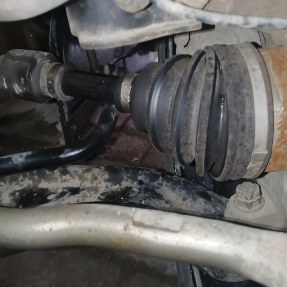 inspection-image