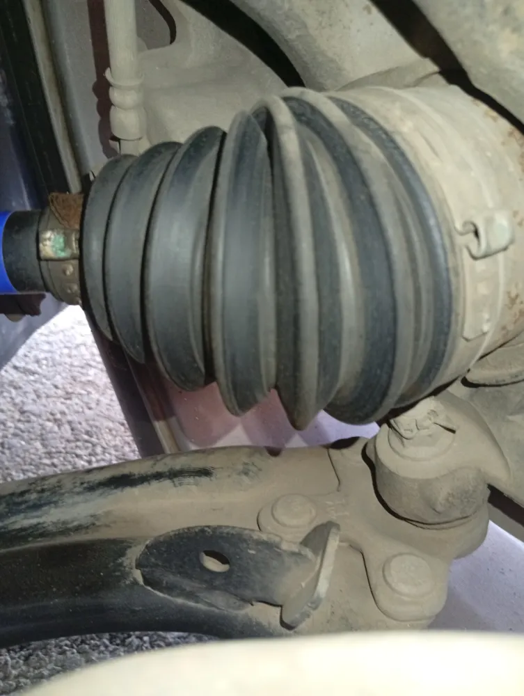 inspection-image
