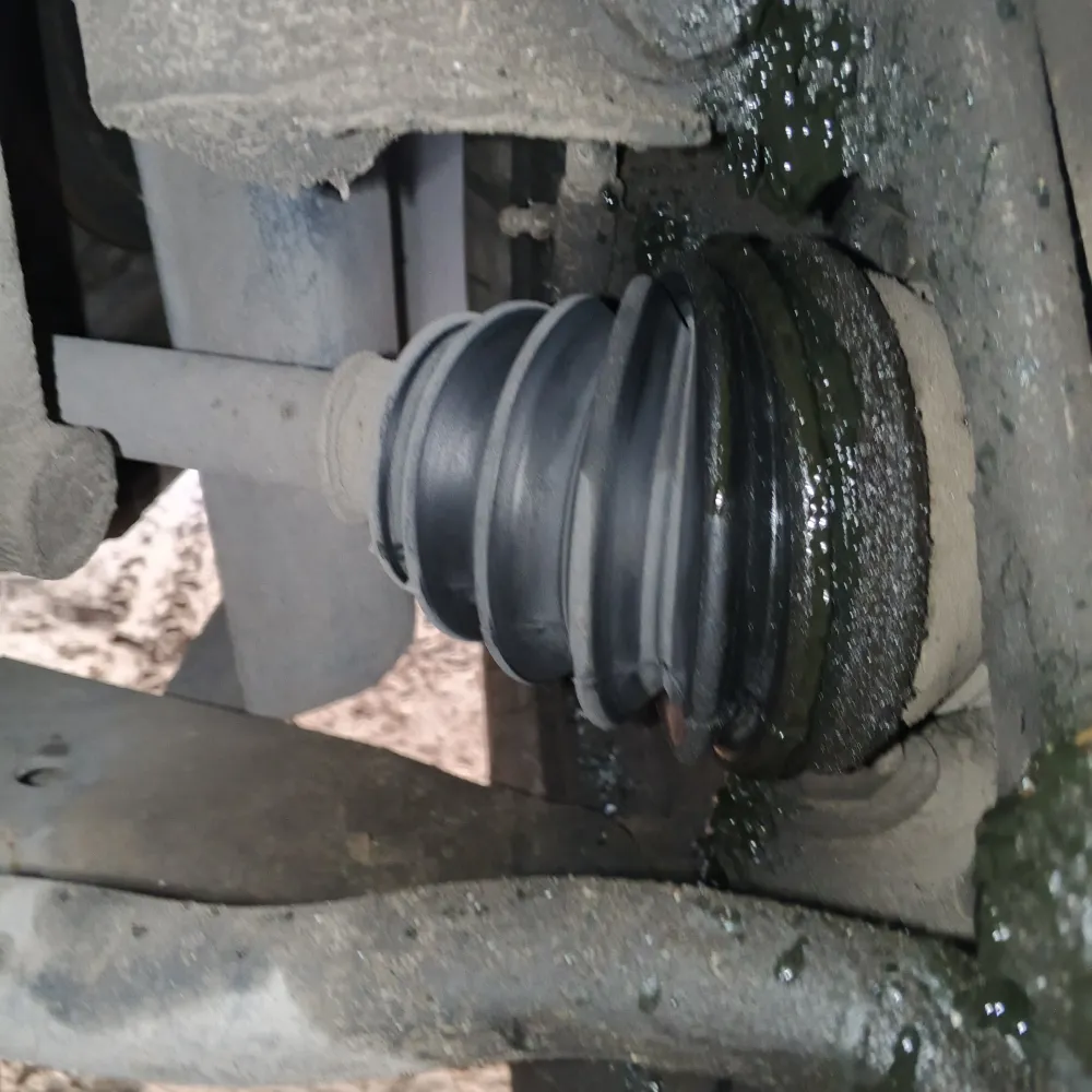 inspection-image