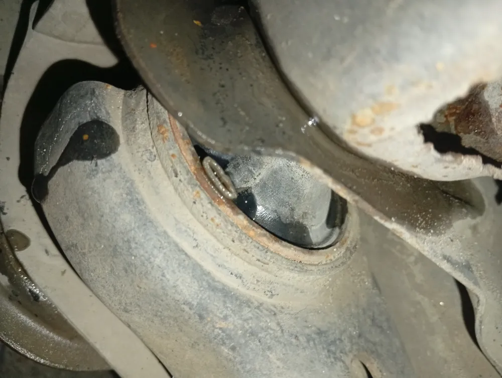 inspection-image