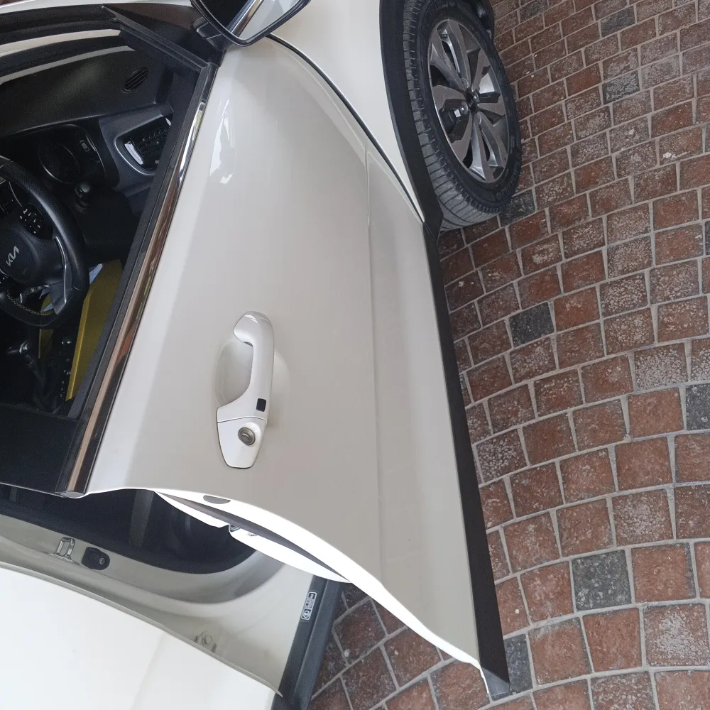 Front_right_door image