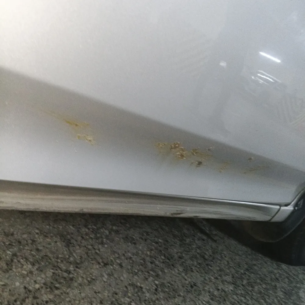 Front_right_door image