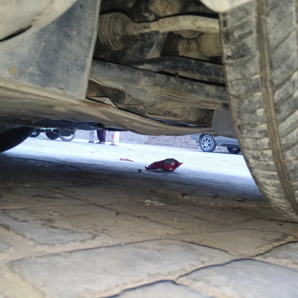 inspection-image