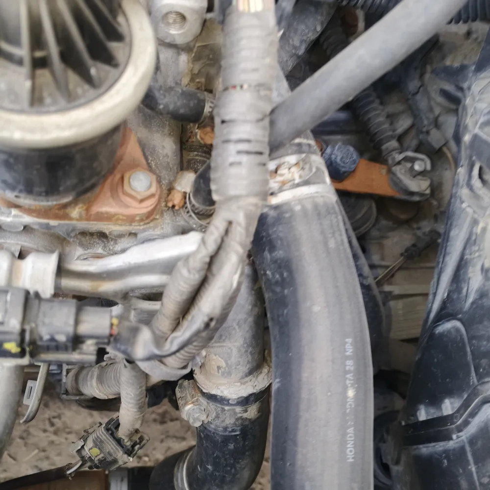 inspection-image