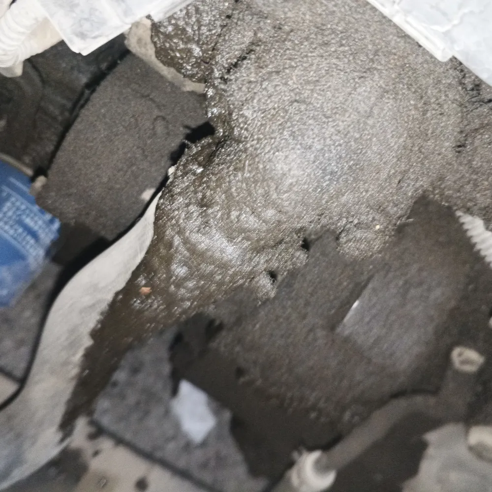 inspection-image