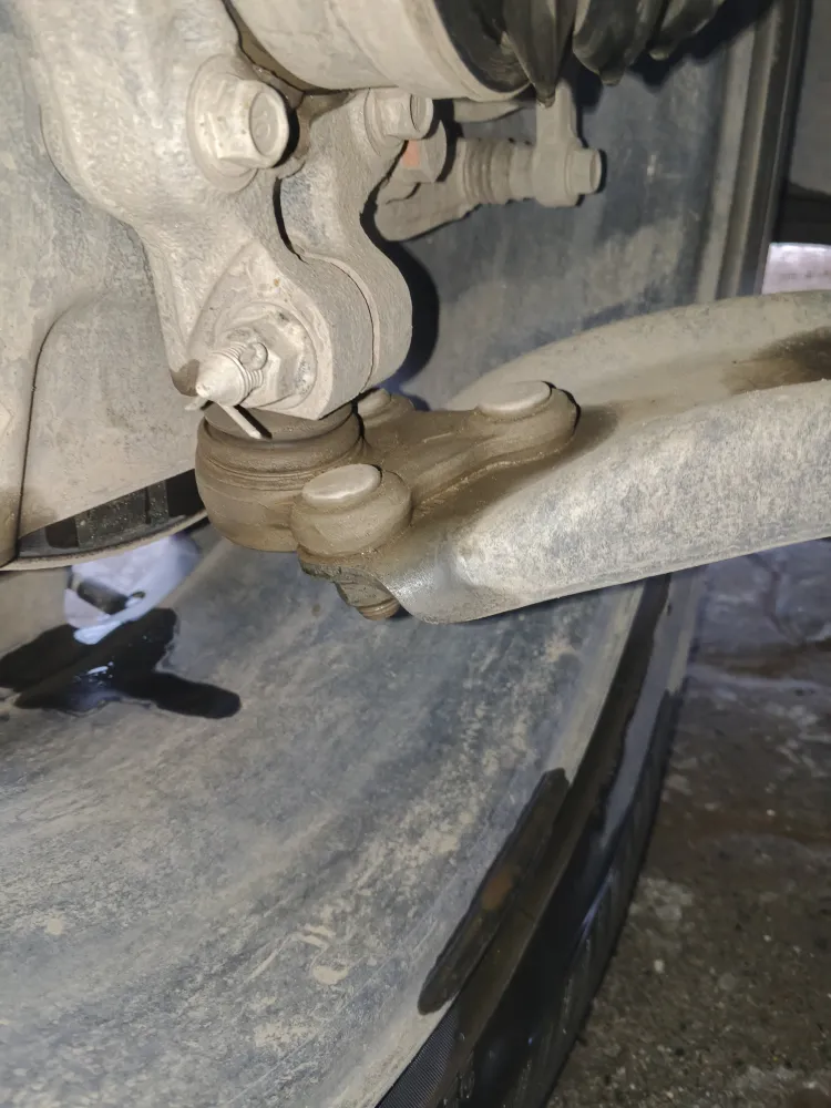 inspection-image