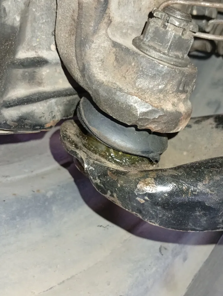 inspection-image