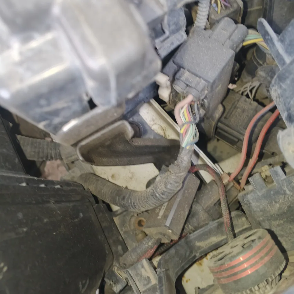 inspection-image
