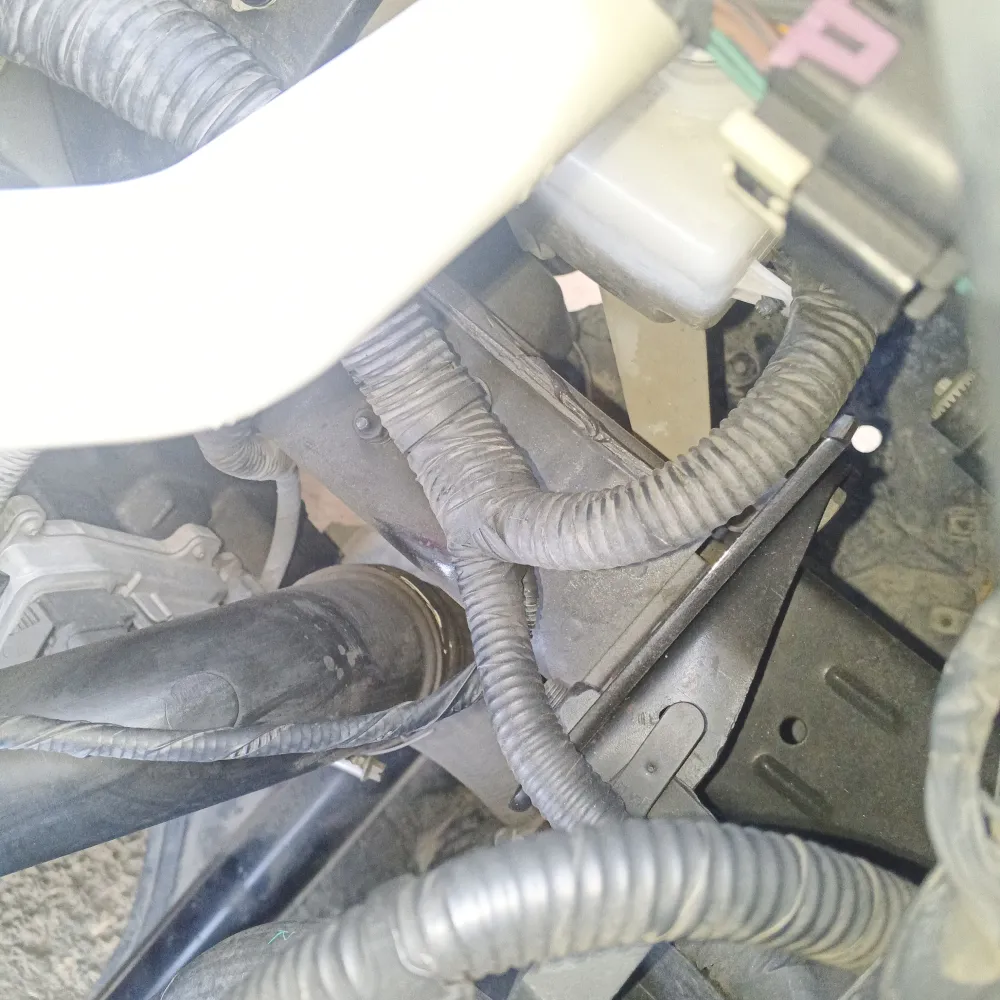 inspection-image