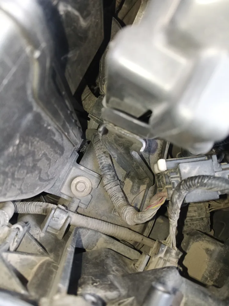 inspection-image