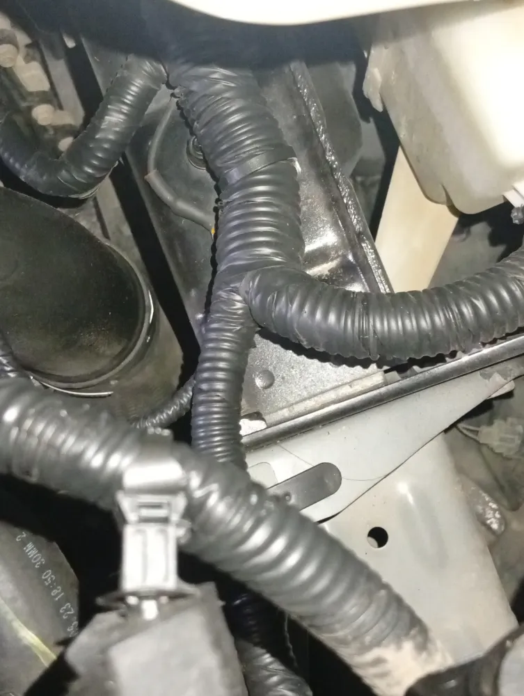 inspection-image