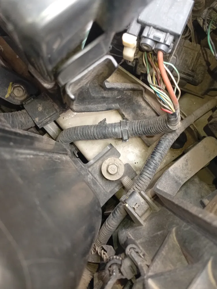 inspection-image