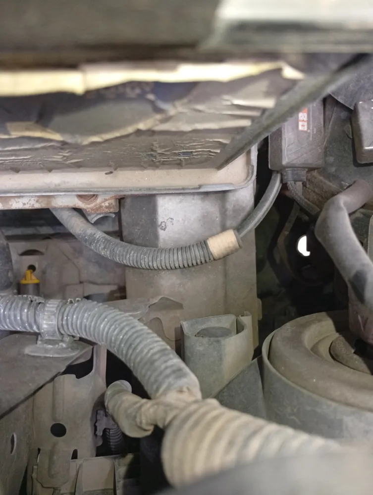 inspection-image