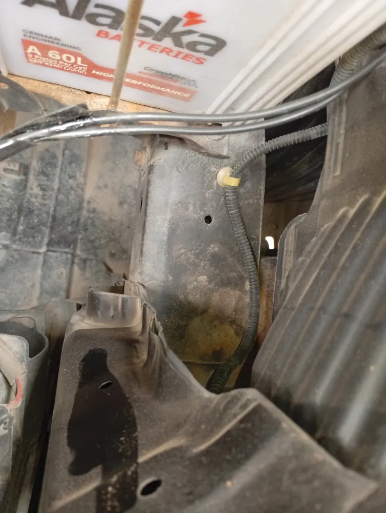 inspection-image