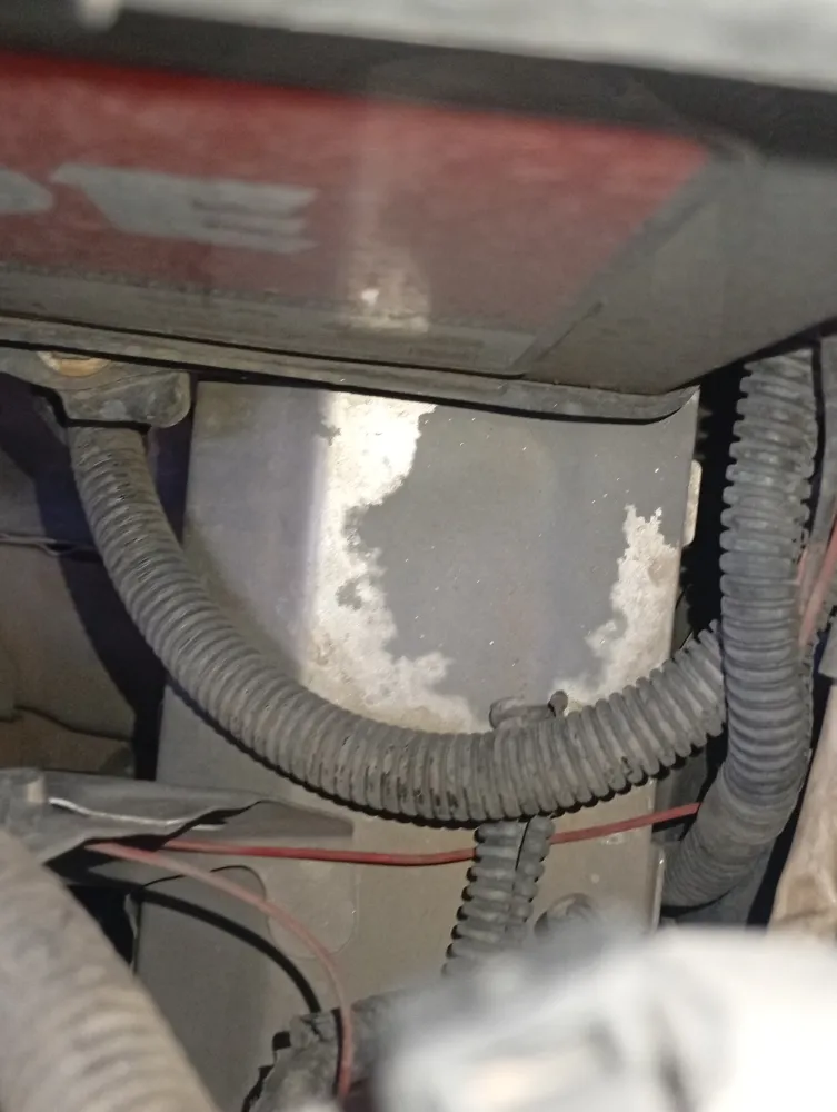 inspection-image
