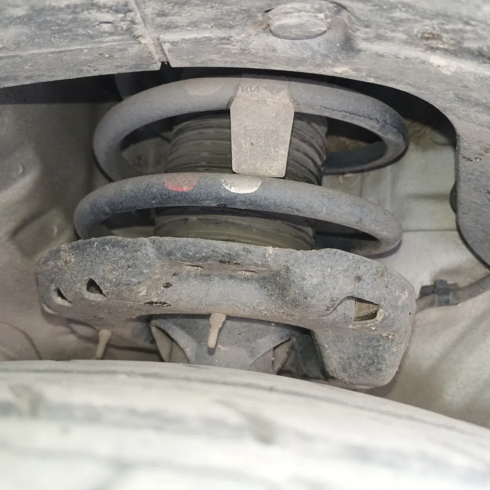 inspection-image