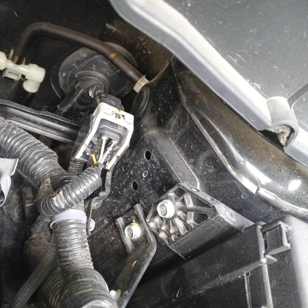 inspection-image