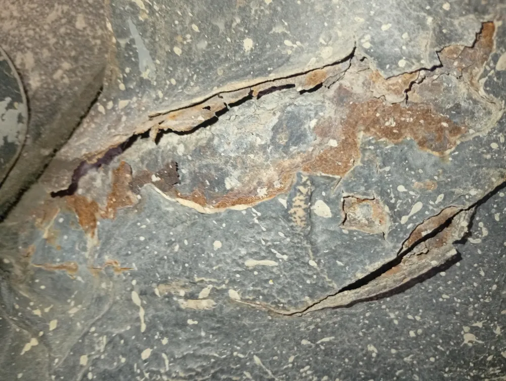 inspection-image