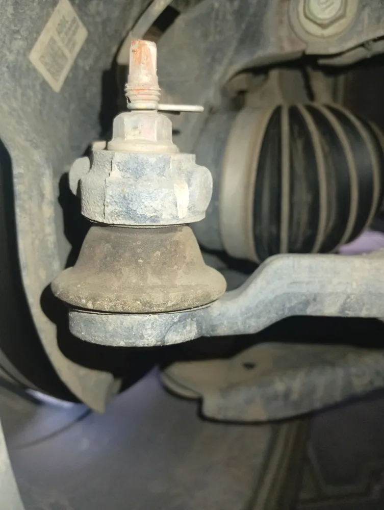 inspection-image