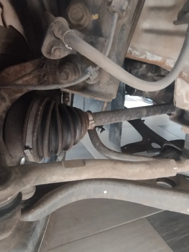 inspection-image