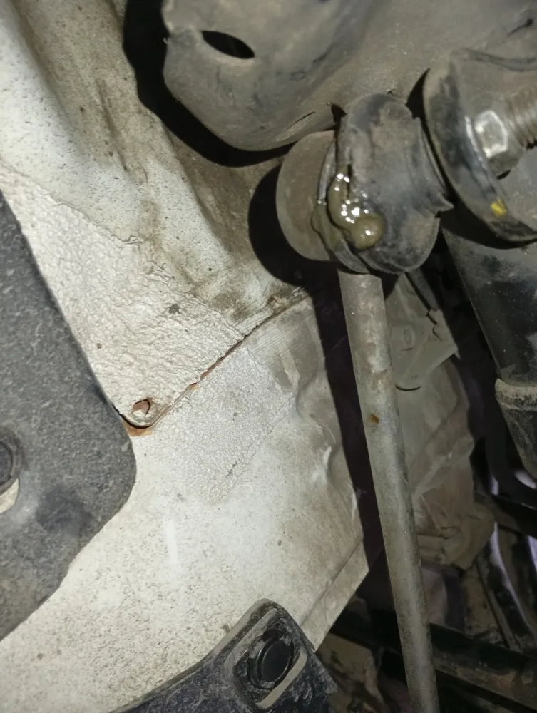 inspection-image