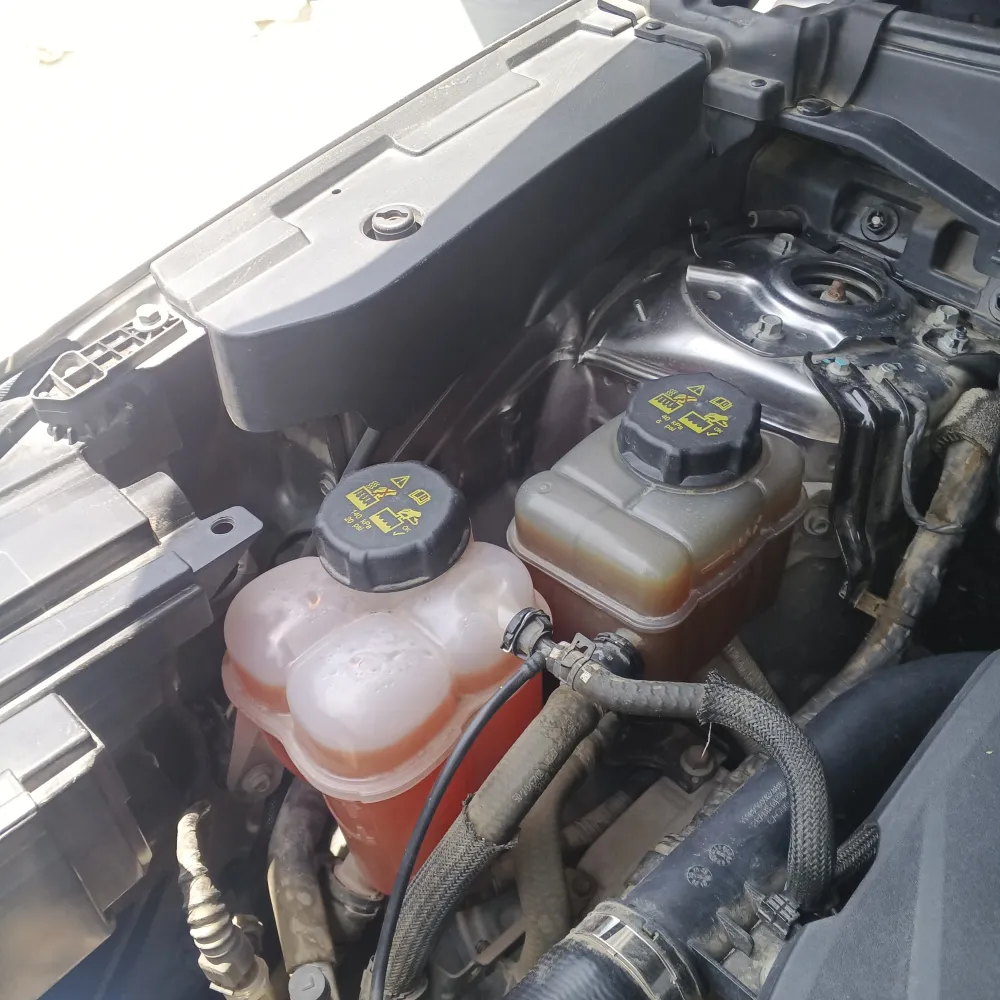 inspection-image