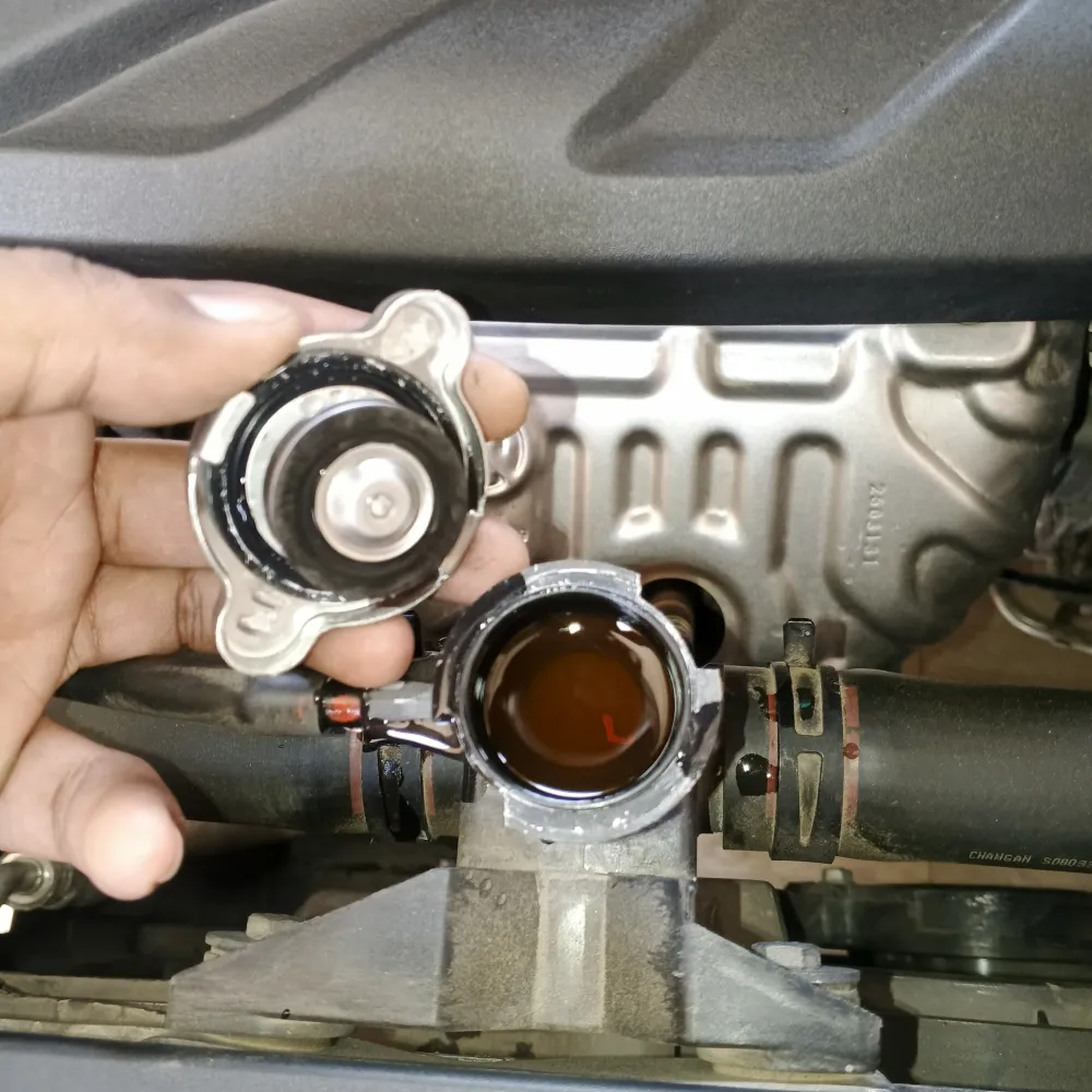 inspection-image