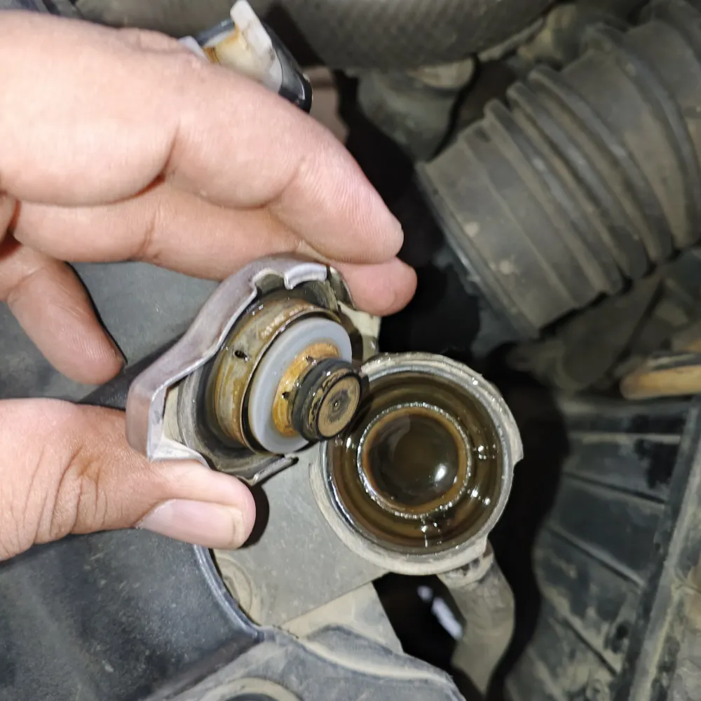 inspection-image