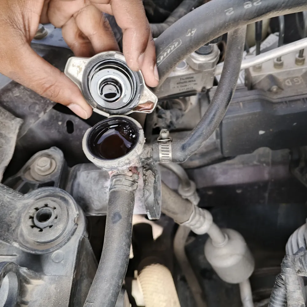 inspection-image