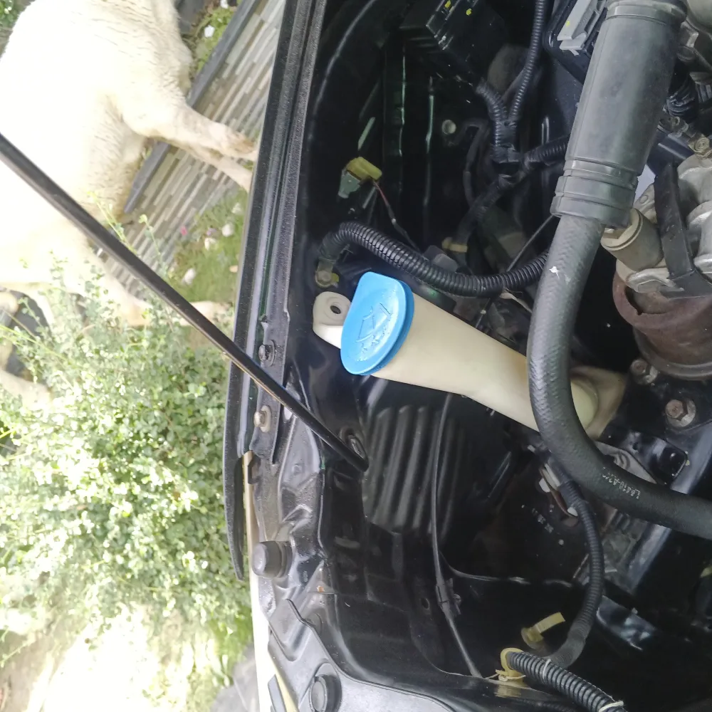 inspection-image