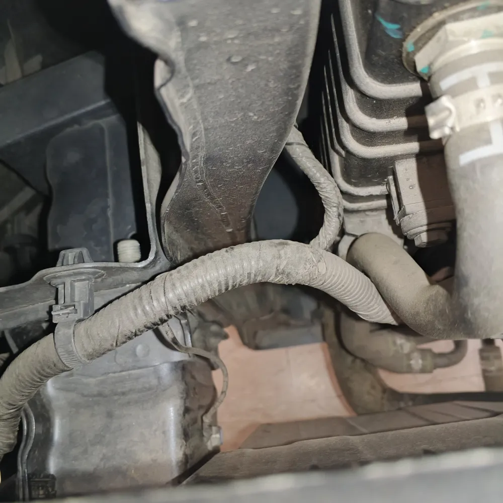 inspection-image