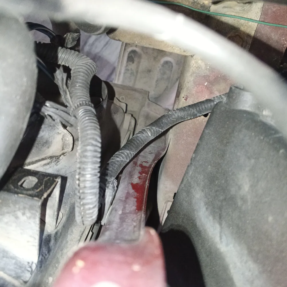 inspection-image