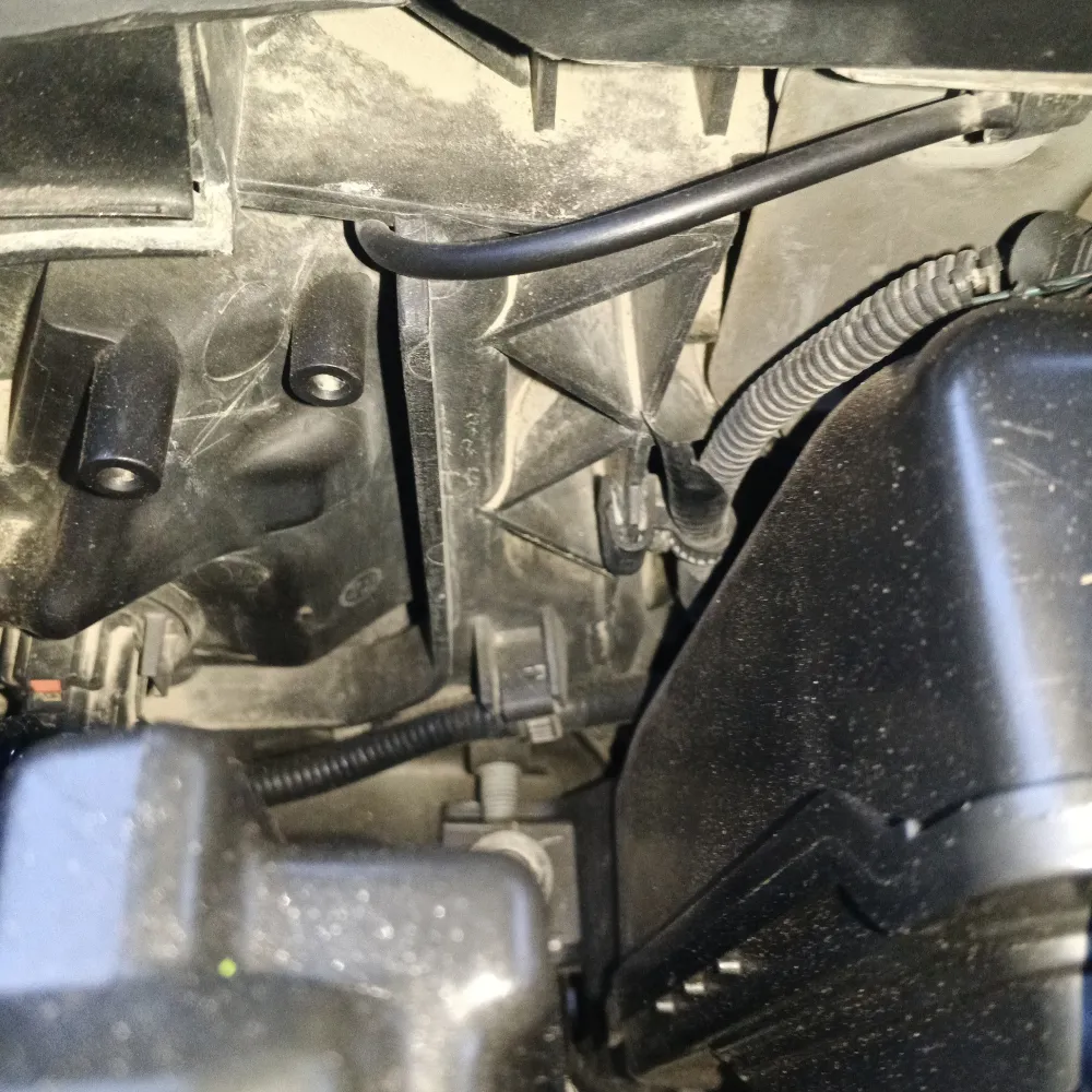 inspection-image