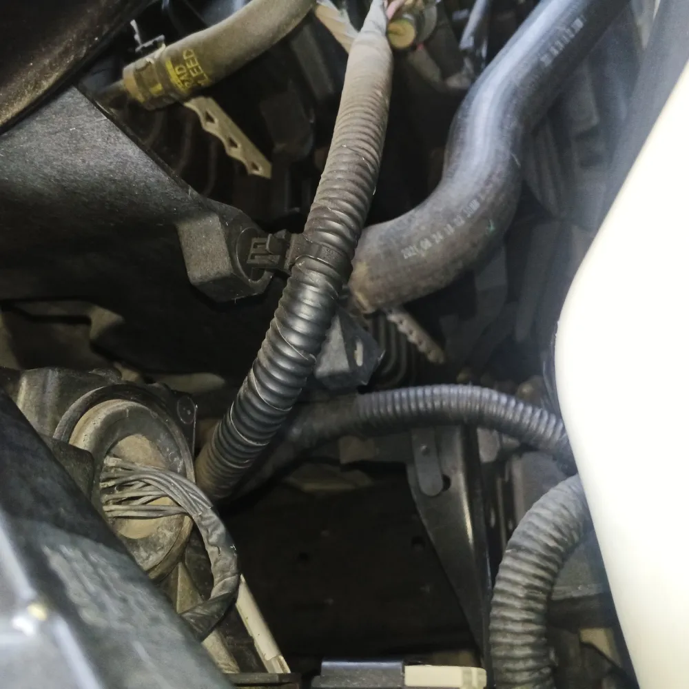 inspection-image